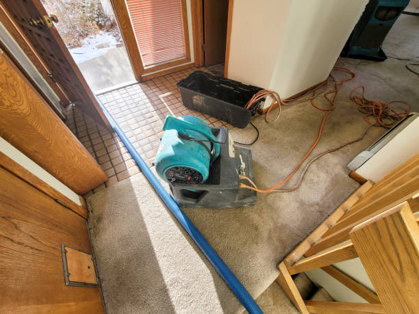 Best Water damage restoration experts  in USA